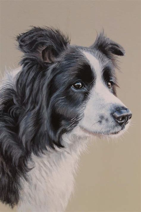 Pencil Drawing Border Collie - Border Collie Dog. Pencil by FrozenPinky ...