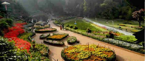 Botanical Garden Ooty Images | Fasci Garden