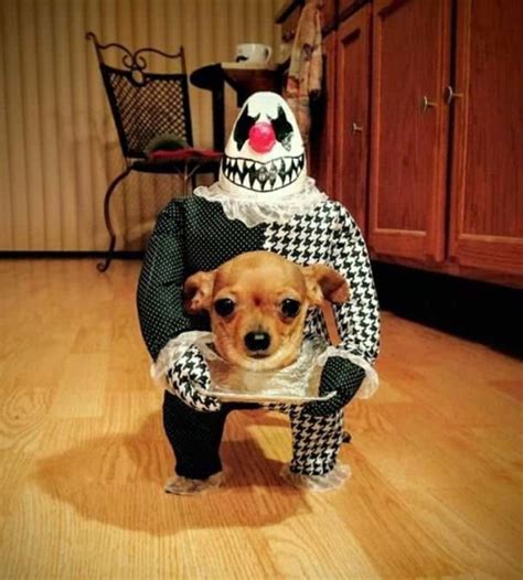 89 Terrifyingly Pawsome Halloween Costumes For Dogs | Bored Panda