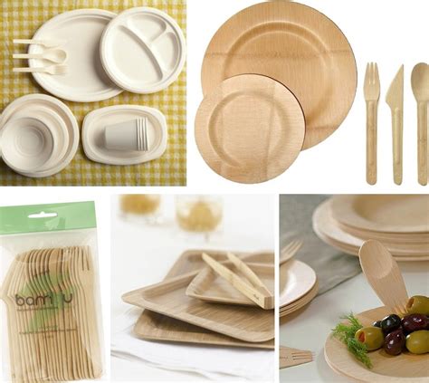 Eco Friendly Disposable Plates. 100% Compostable Paper Plates, Heavy ...