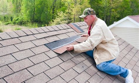 Roof Shingle Repair: When to Call a Professional » Residence Style