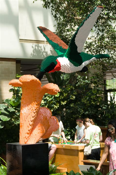 Lego Hummingbird | Dick Peschke Photography