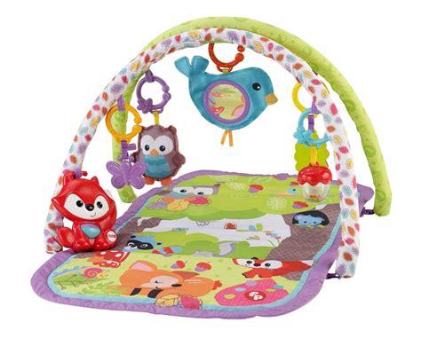 Amazon.com : Fisher-Price 3-in-1 Musical Activity Gym : Baby