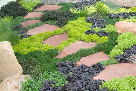 Pin by Sue Andersen on Design Ideas | Ground cover plants, Plants ...