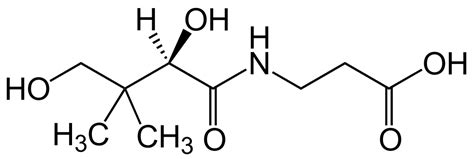 Taiwan dietary supplement database TDSD: Pantothenic Acid 泛酸