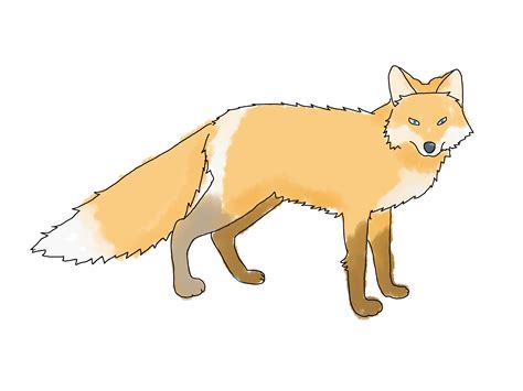 4 Ways to Draw a Fox - wikiHow