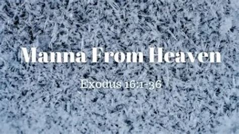 Exodus 16:1-36 (Full Service), "Manna From Heaven"