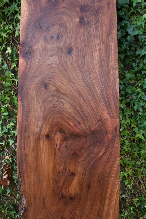 Wych Elm Slab (non live edge) - E302 :: The Board Room NI