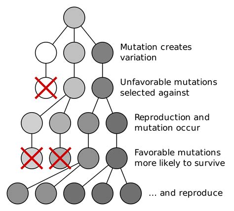 Biology - Definition & Meaning, Examples, Branches and Principles