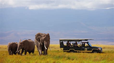 Scenic Kenya safari holiday in Masai Mara and Amboseli NP from $1 - AWE365