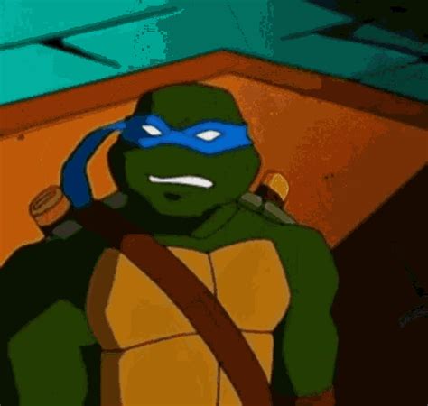 Leonardo Tmnt 2003 GIF - Leonardo TMNT 2003 DNCVOIDLOLOLOL - Discover ...