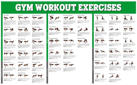 Dumbbell Workout Poster - 10 Free PDF Printables | Printablee | Gym ...