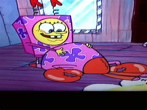 *Pause TV* Take pic of Mr. Krabs gettin' it from SpongeBob : funny