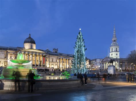 The Trafalgar Square Christmas Tree 2024 | Londonist