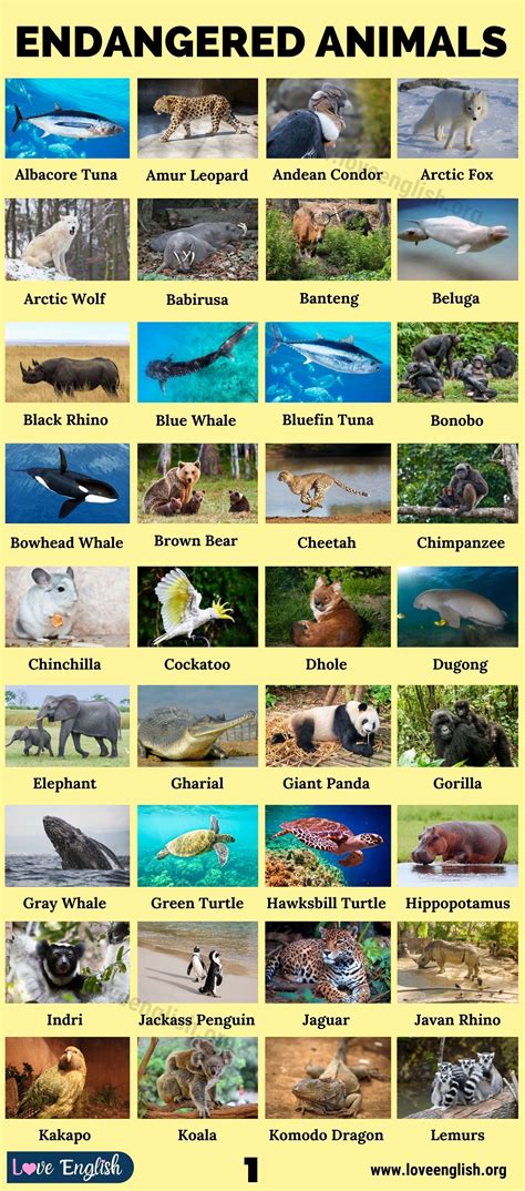 Endangered Species List