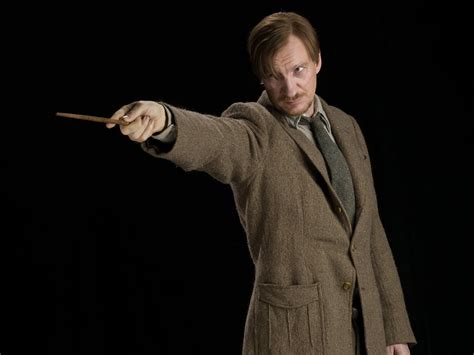 Professor Lupin Werewolf