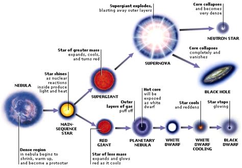 Life Cycle of a Star - Miss Wise's Physics Site