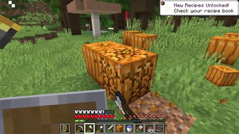 How to get Pumpkins and Pumpkin Seeds - Minecraft - YouTube