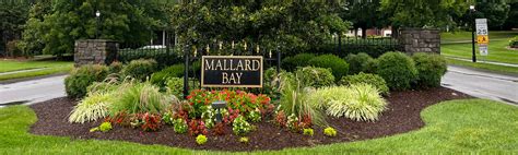 Contact Info | Mallard Bay