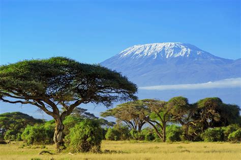 Kilimanjaro Wallpapers - Wallpaper Cave