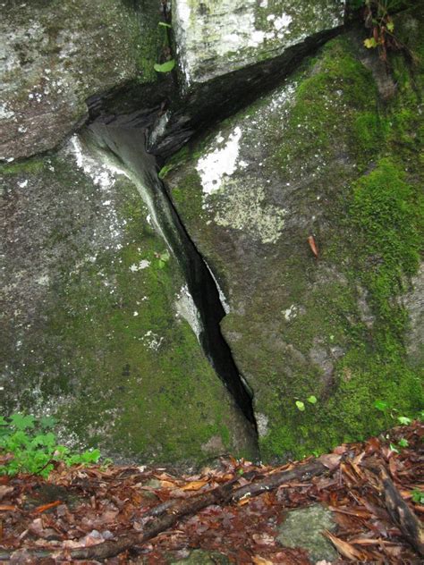 Bat Cave Preserve, North Carolina Nature Conservancy » Carolina ...