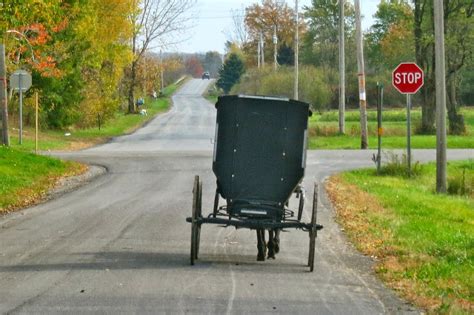 Swartzentruber Amish photos - Google Search | Photo, Amish, Scenes