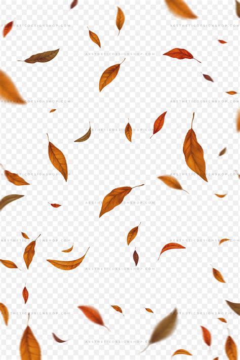 Realistic Falling Autumn leaves PNG overlay Aesthetic Shop, Aesthetic ...