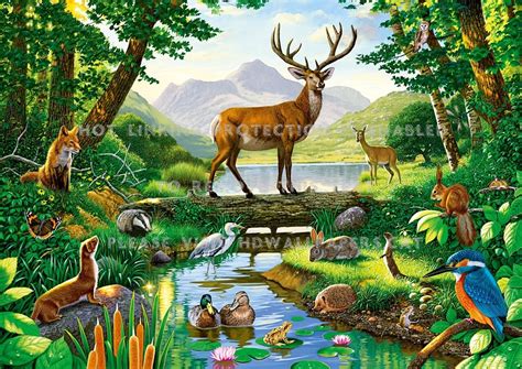 Top 128 + Forest and animals drawing - Inoticia.net