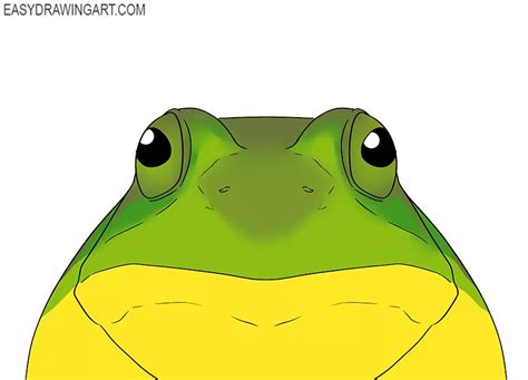 How to Draw a Frog Face - Easy Drawing Art