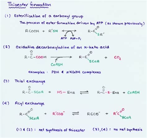 CHEM 440 - Thioesters