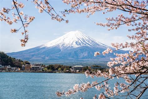 Mount Fuji, Hakone, Lake Ashi, and More Tour from Tokyo - Tourist Journey