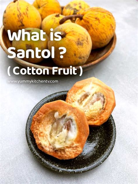 Santol (Cotton Fruit) "A natural souring agent" - Yummy Kitchen