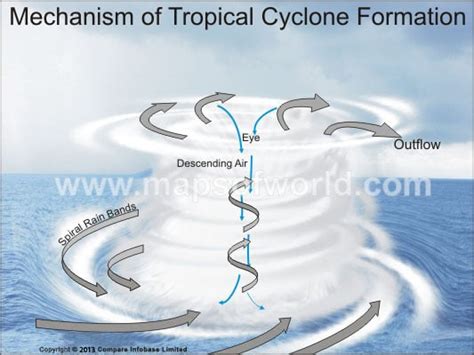 Tropical Cyclone Formation Mechanism