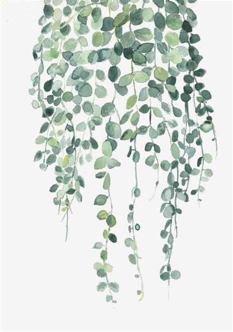 Plant Art Aesthetic