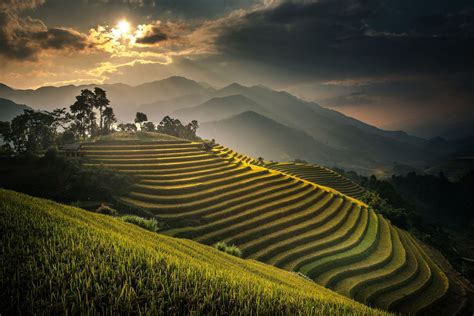 Terraced Fields of Mù Cang Chải II | Rice terraces, Field wallpaper ...