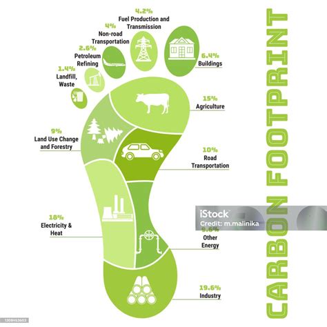 Carbon Footprint Infographic Co2 Ecological Footprint Scheme Greenhouse ...