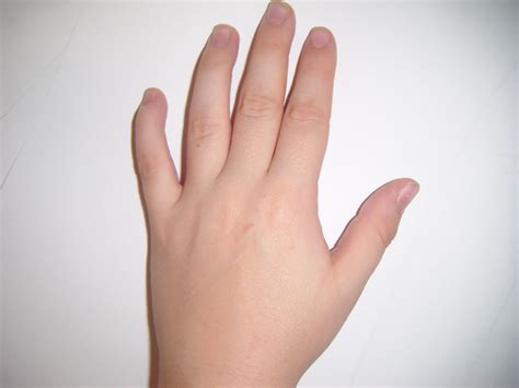 Child Hand Free Stock Photo - Public Domain Pictures