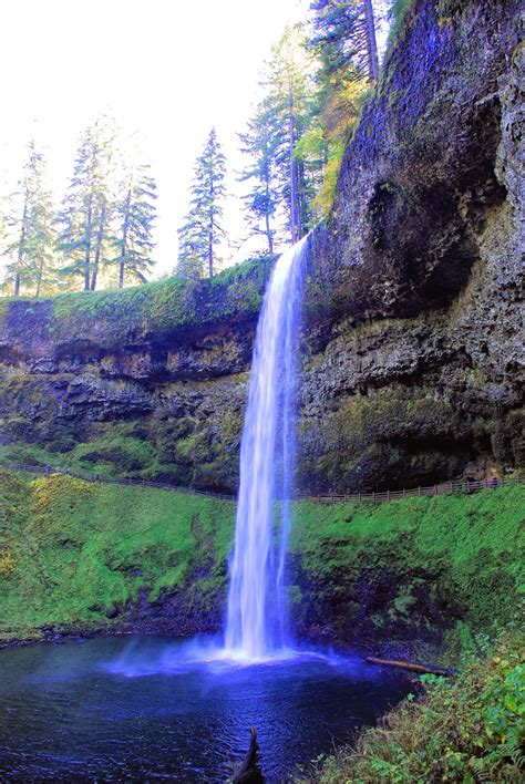 Everything Oregon (and Beyond): Silver Falls State Park: Trail of Ten Falls