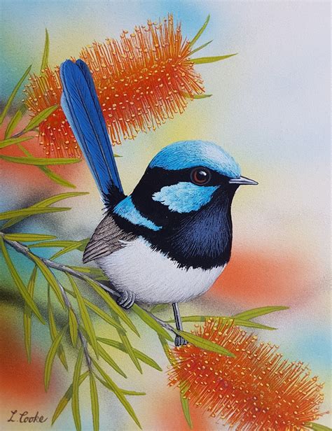 "Superb Blue Wren" by Lyn Cooke. Paintings for Sale. Bluethumb - Online ...