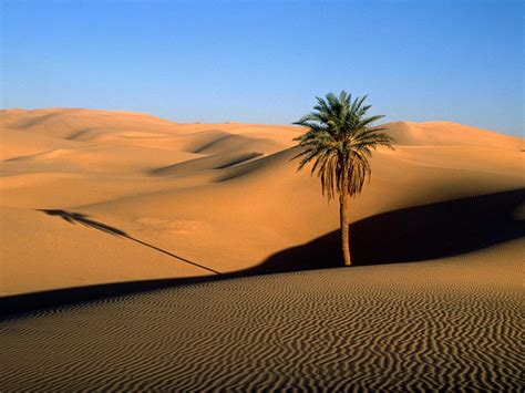 Sahara Desert Hottest Desert in the World | Travel and Tourism