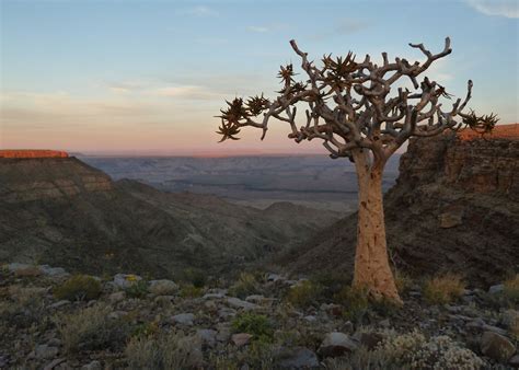 Visit Fish River Canyon on a trip to Namibia | Audley Travel