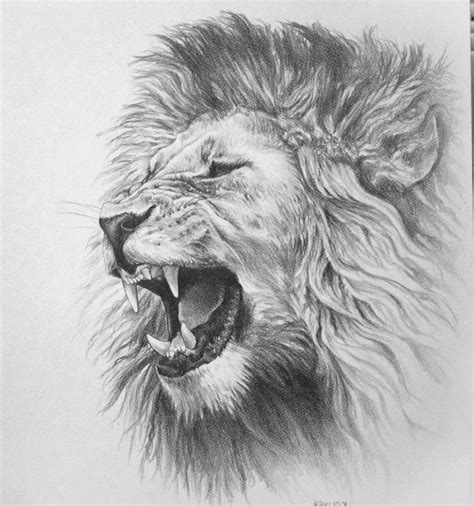 Pencil Drawing Lion Face - pencildrawing2019