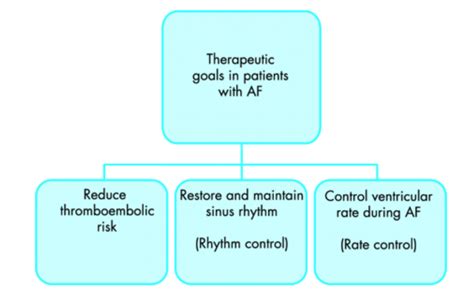 Atrial Fibrillation Treatment | Hope For Hearts Australia