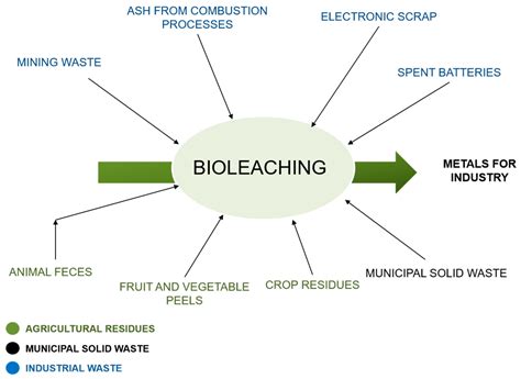 Sustainability | Free Full-Text | Bioleaching Techniques for ...