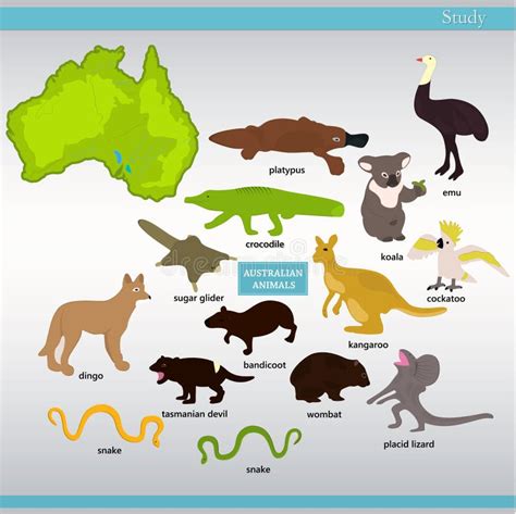 All Australian Animals Names