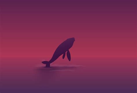 Premium Vector | Humpback whale jumping in the ocean at sunset