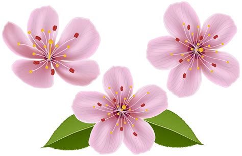 clip art spring flowers 20 free Cliparts | Download images on ...