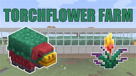 Minecraft Sniffer Farm | Torch Flower & Pitcher Plant Farm in Minecraft ...