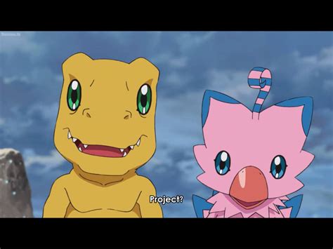 Agumon and Biyomon by Tatsunokoisthebest on DeviantArt