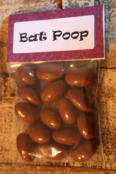 Christy Robbins: Bats: Bat Poop